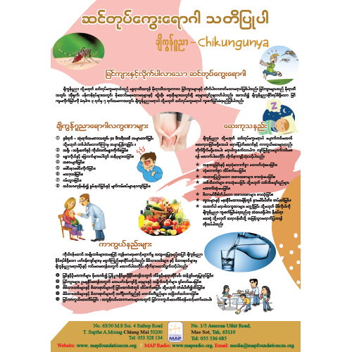 Chikungunya Burmese 2019