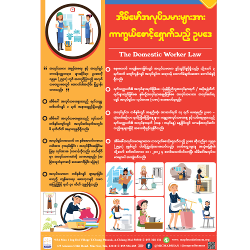 Domestic Law in Burmese Poster