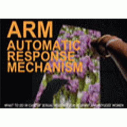 ARM: Automatic Response Mechanism 2003