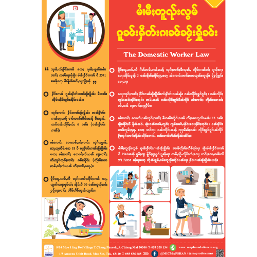 Domestic Law in Shan Poster 2023